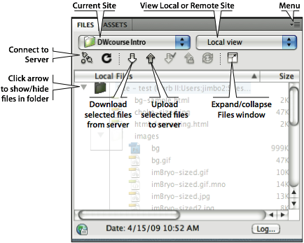 The Files window